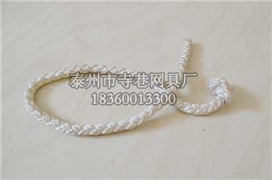 CYLS-009